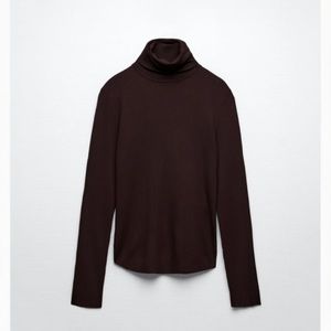 Zara Knit Brown Sweater (S)
